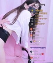 KBJ-24052231