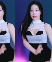 KBJ-24052245