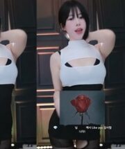 KBJ-24052247