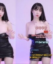 KBJ-24060315