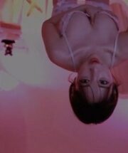 KBJ-24061524