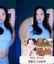 KBJ-24061727