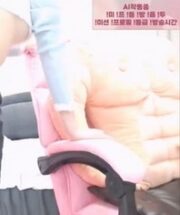 KBJ-24062229