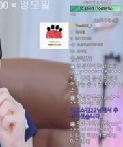 KBJ-24070129