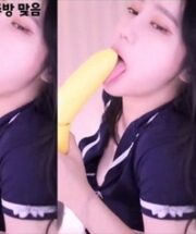 KBJ-24070195