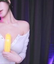 KBJ-24070988