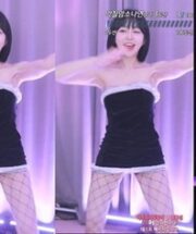 KBJ-24072304