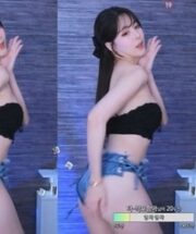 KBJ-24081217