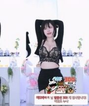 KBJ-24082204