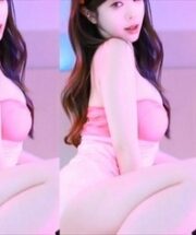 KBJ-24082206