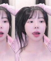 KBJ-24082258