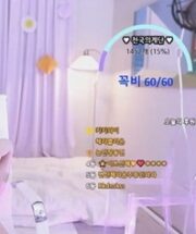 KBJ-24090245