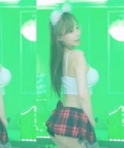 KBJ-24090446