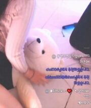 KBJ-24091231