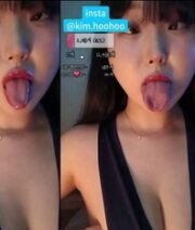 KBJ-24091232
