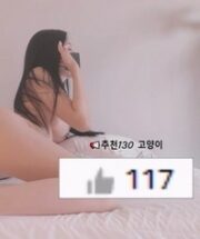 KBJ-24091295