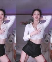 KBJ-24091808