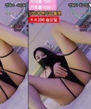 KBJ-24092144