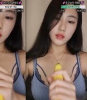 KBJ-24092421