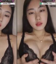KBJ-24092482