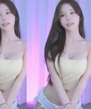 KBJ-24100279