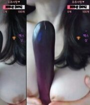 KBJ-24101460