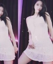 KBJ-24110954