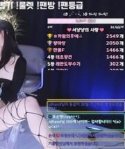 KBJ-24111251