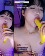 KBJ-24111443
