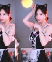 KBJ-24111467