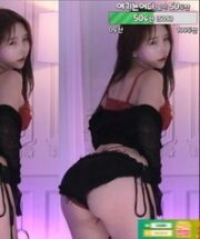 KBJ-24111810