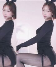 KBJ-24112305