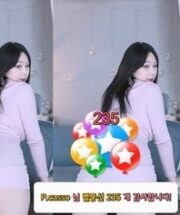KBJ-24112355
