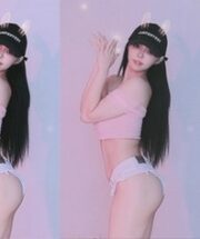 KBJ-241126455