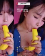 KBJ-24112683