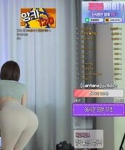 KBJ-24112859