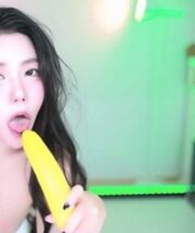 KBJ-24120224