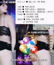 KBJ-24120413