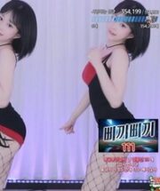 KBJ-24120455