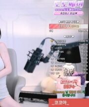KBJ-24120765