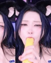 KBJ-24121873