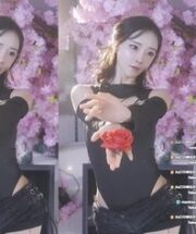 KBJ-24122149