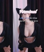 KBJ-24122161