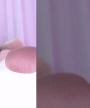 KBJ-24122189
