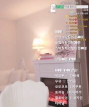 KBJ-24122486