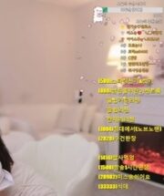 KBJ-241226102
