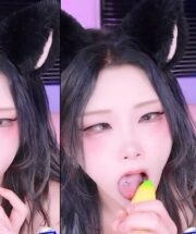 KBJ-24122659