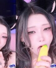 KBJ-25010239