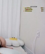 KBJ-25011417
