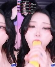 KBJ-25011847